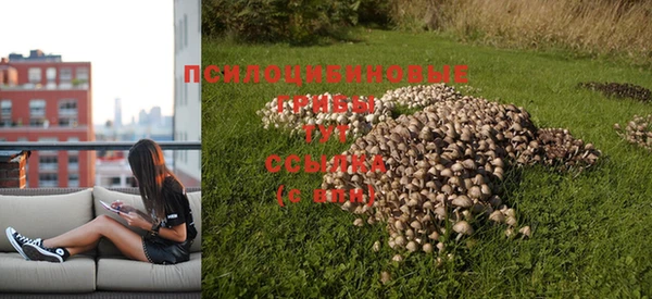 шишки Алексеевка