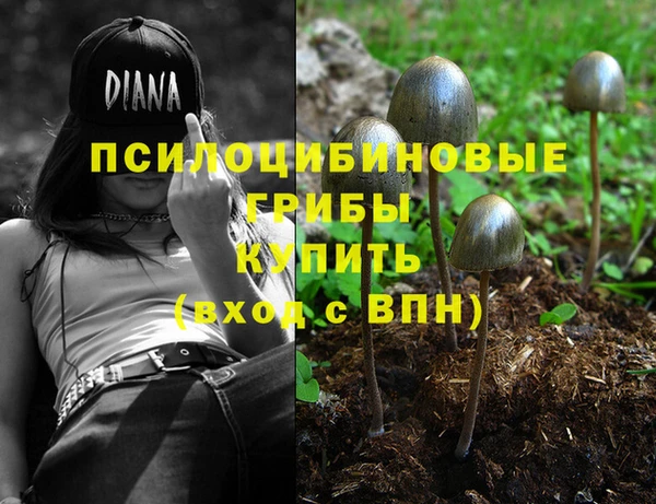 ALPHA PVP Алексин