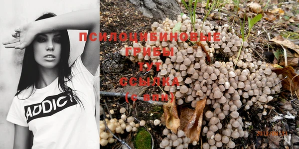 ALPHA PVP Алексин