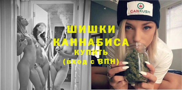 шишки Алексеевка